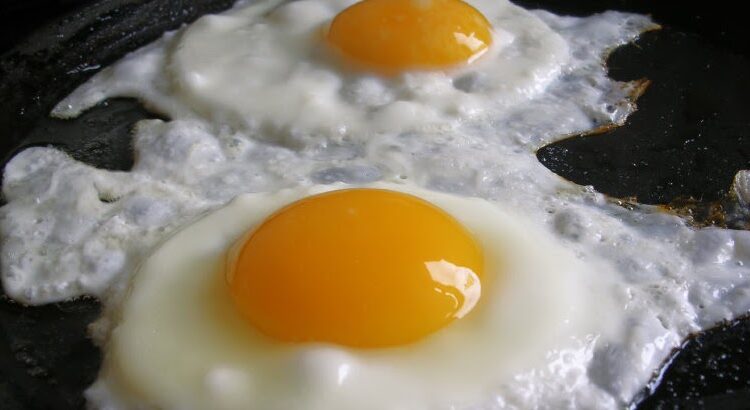 Eat Eggs Everyday To Lose Weight