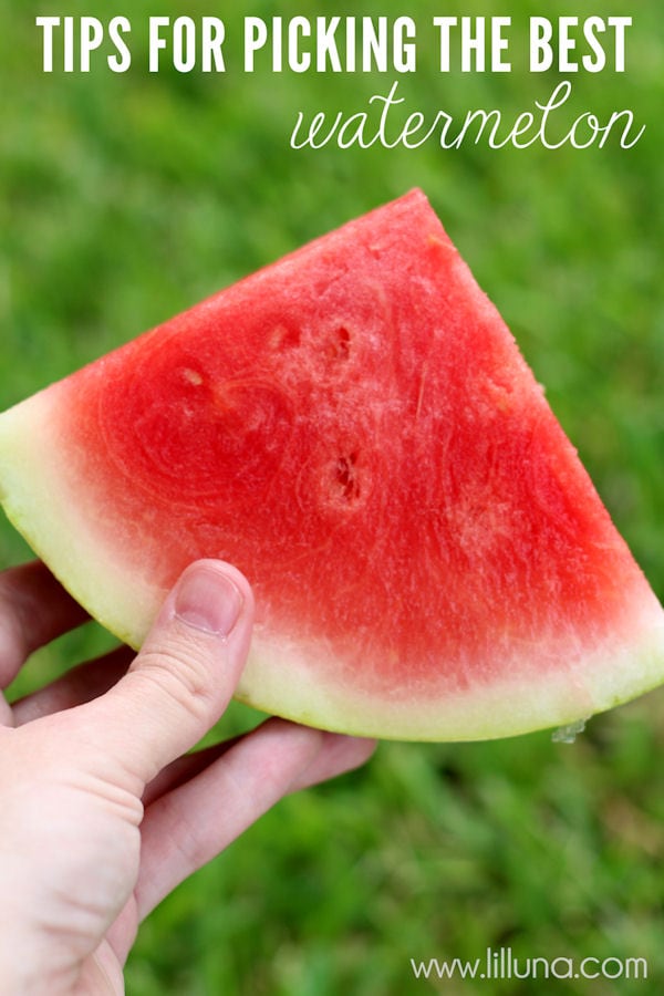 How to choose a good watermelon {tips + tricks}